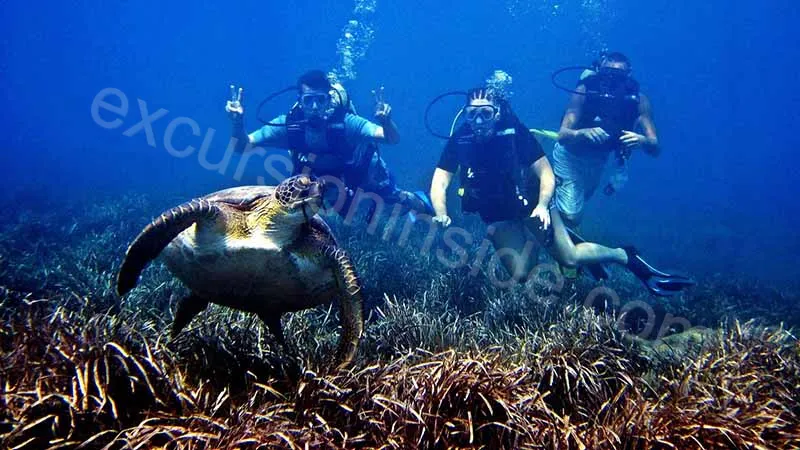 Side Scuba Diving image 16