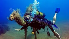Side Diving Tour nav photo 13