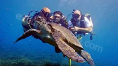 Side Diving Tour nav photo 16