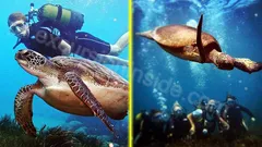Side Diving Tour nav photo 5