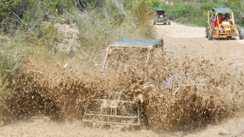 Side Buggy Safari image 14