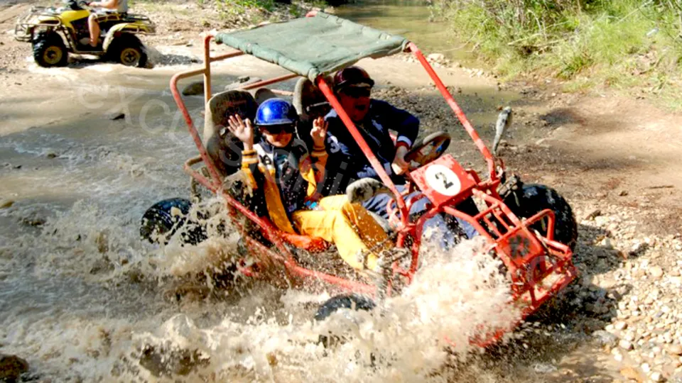Side Buggy Safari image 15