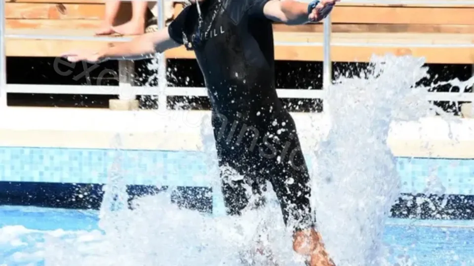 Side Dolphin Show image 8
