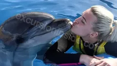 Swimming with Dolphins in Side nav photo 10