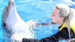 Swimming with Dolphins in Side nav photo 11