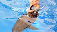 Swimming with Dolphins in Side nav photo 2