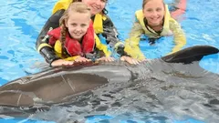 Swimming with Dolphins in Side nav photo 30