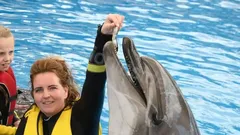 Swimming with Dolphins in Side nav photo 31