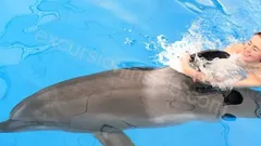 Swimming with Dolphins in Side nav photo 3