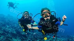 Side'den Alanya Dalış Turu nav photo 10
