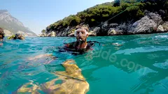 Side'den Alanya Dalış Turu nav photo 6