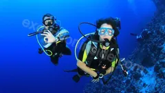 Side'den Alanya Dalış Turu nav photo 9