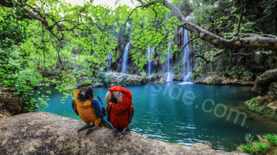 Antalya City Tour from Side image 19