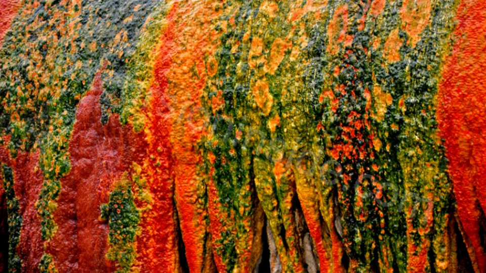 Side'den Salda Gölü ve Pamukkale Turu photo 30