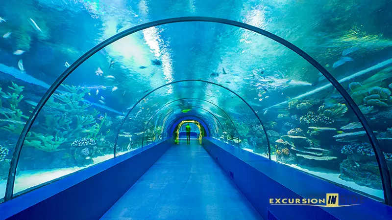 Antalya Aquarium from Side image 6