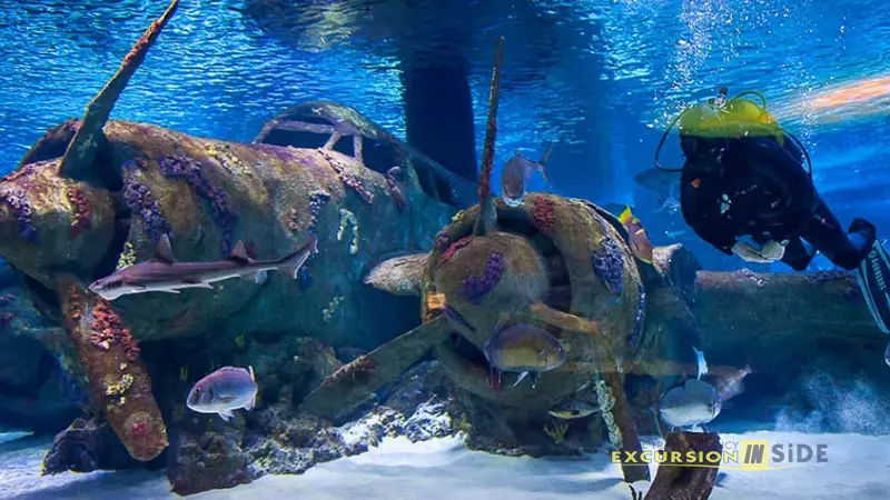 Antalya Aquarium from Side image 0