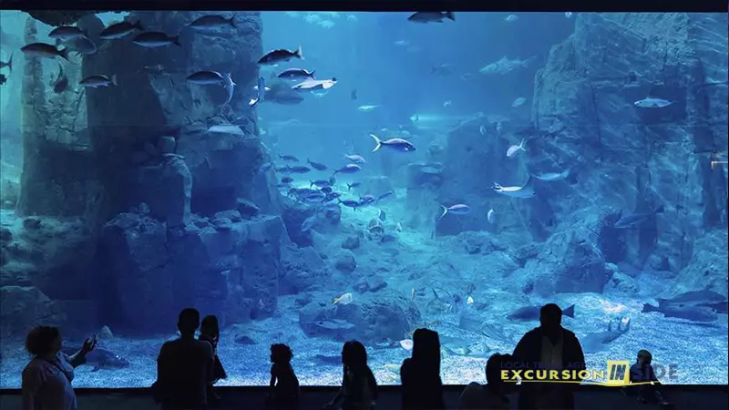 Antalya Aquarium from Side image 7