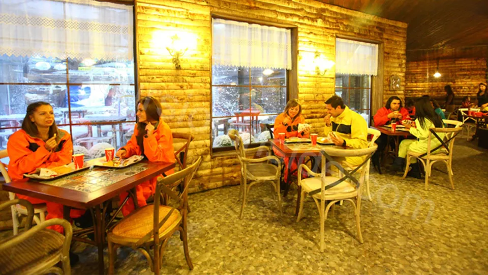 Экскурсия в аквариум из Сиде image 18