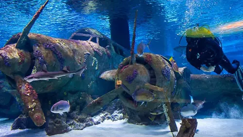 Antalya Aquarium from Side