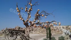 3-Day Cappadocia Tour from Side nav photo 107