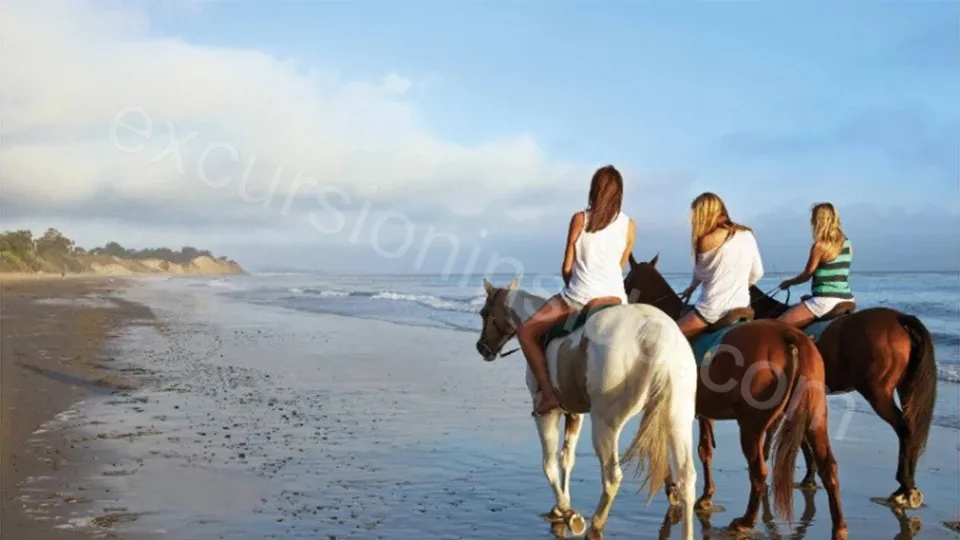  Horse Riding in Side photo 1