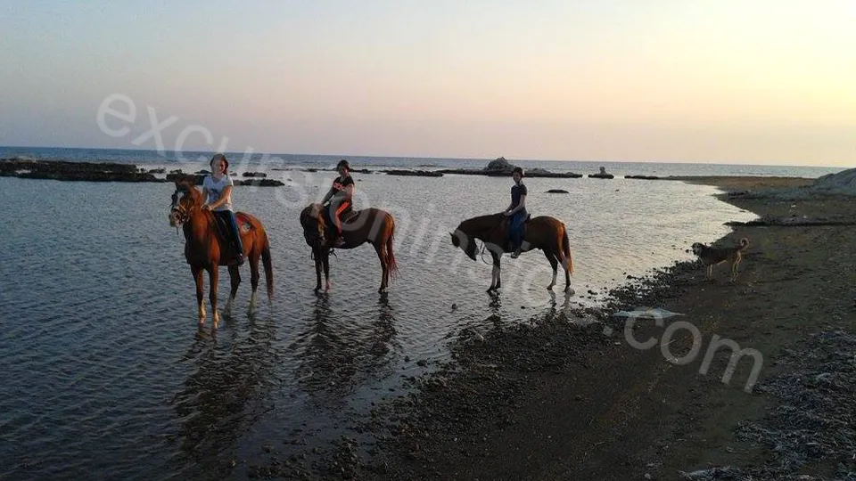  Horse Riding in Side photo 9