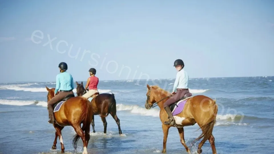  Horse Riding in Side photo 16