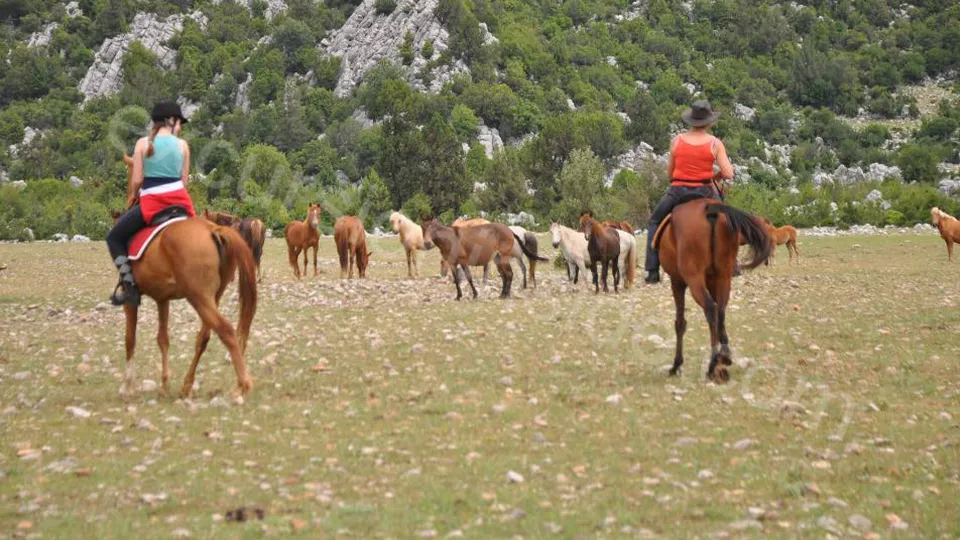  Horse Riding in Side photo 17