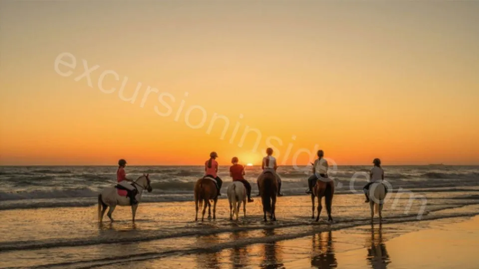  Horse Riding in Side photo 18
