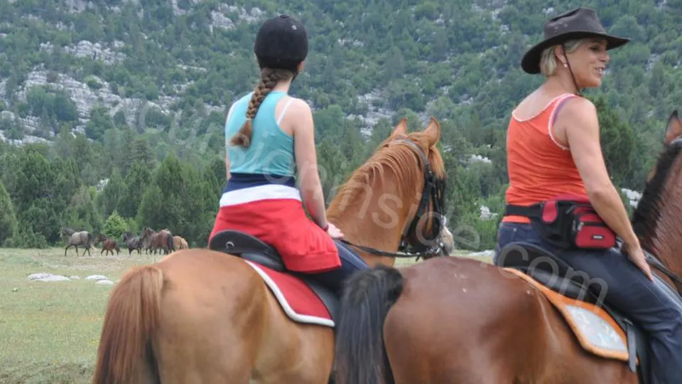  Horse Riding in Side photo 19