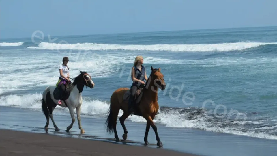  Horse Riding in Side photo 20