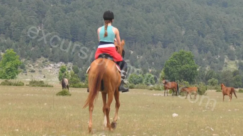  Horse Riding in Side photo 21