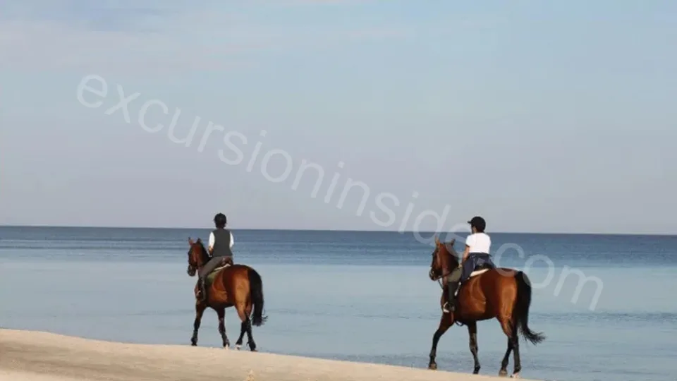  Horse Riding in Side photo 22