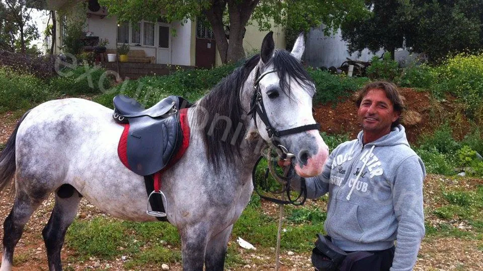  Horse Riding in Side photo 25