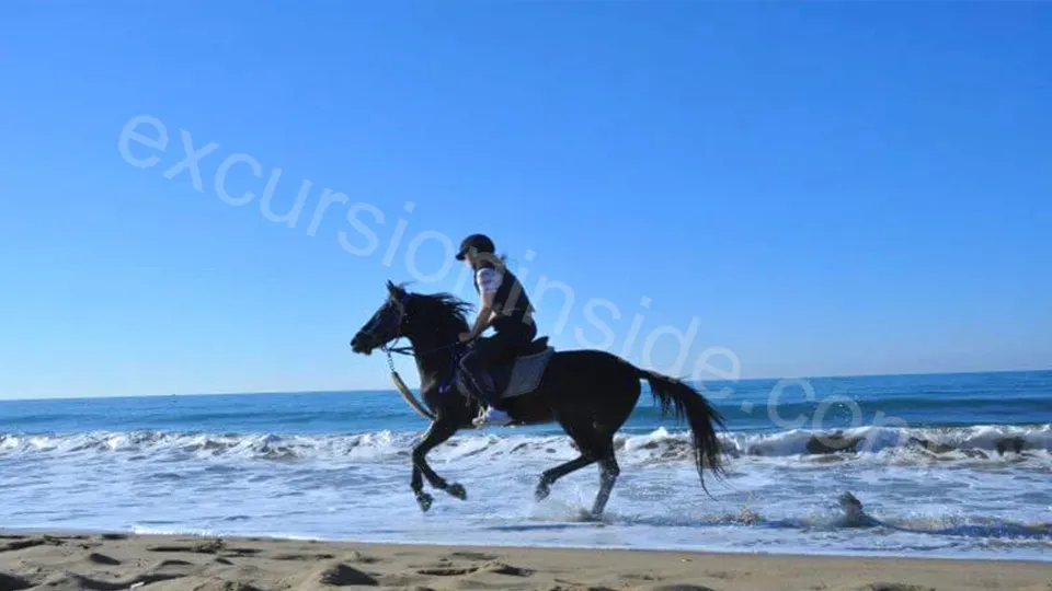  Horse Riding in Side photo 26