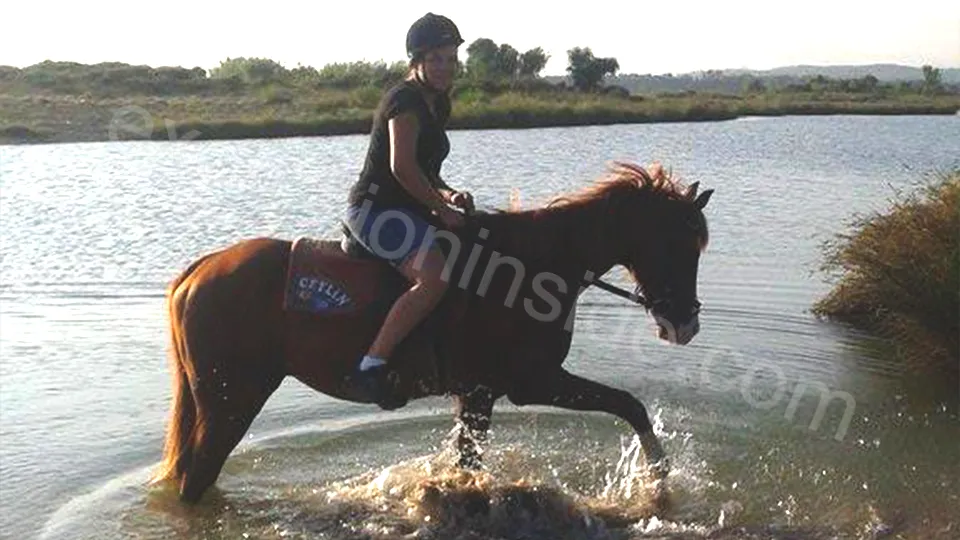  Horse Riding in Side photo 3