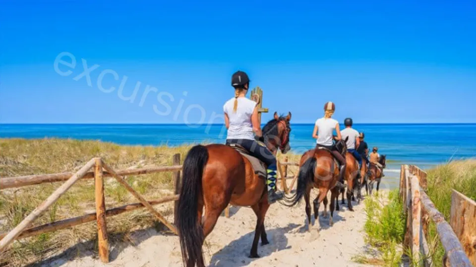  Horse Riding in Side photo 4