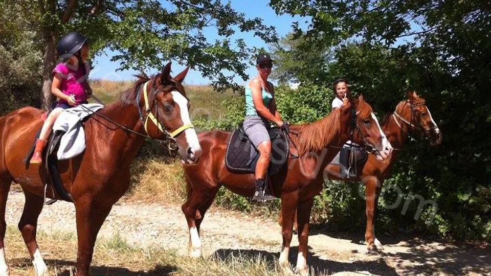  Horse Riding in Side photo 5