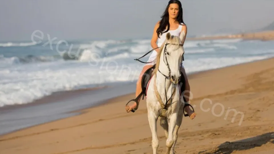  Horse Riding in Side photo 6