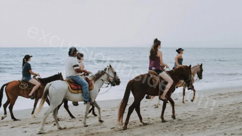  Horse Riding in Side photo 8