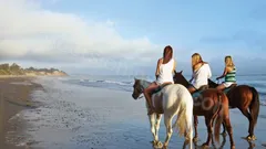  Horse Riding in Side nav photo 1