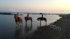  Horse Riding in Side nav photo 9