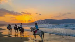  Horse Riding in Side nav photo 12
