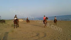  Horse Riding in Side nav photo 13