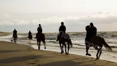  Horse Riding in Side nav photo 14