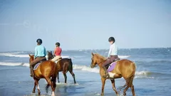  Horse Riding in Side nav photo 16