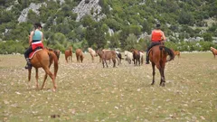  Horse Riding in Side nav photo 17