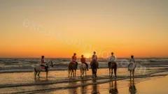  Horse Riding in Side nav photo 18
