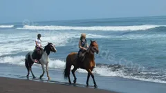  Horse Riding in Side nav photo 20