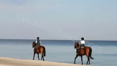  Horse Riding in Side nav photo 22